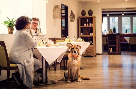 Gäste mit Hund im Restaurant